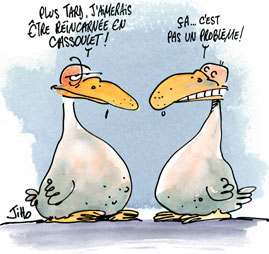 L' HISTOIRE DU CASSOULET
