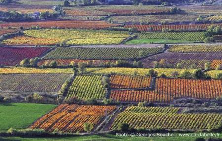 Vignoble Salagou ...
